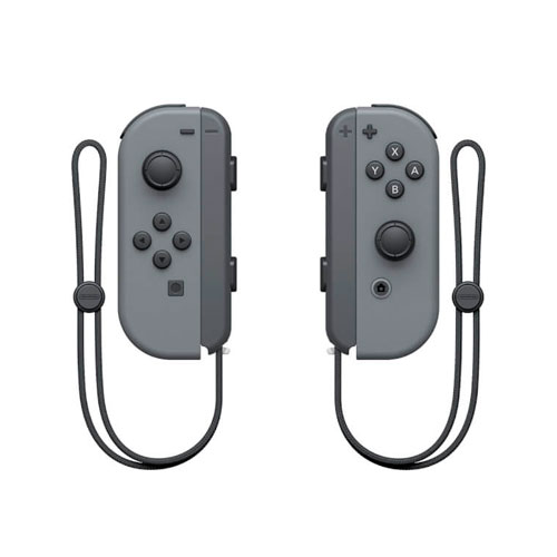 Nintendo-Switch_grey_controllers.jpg